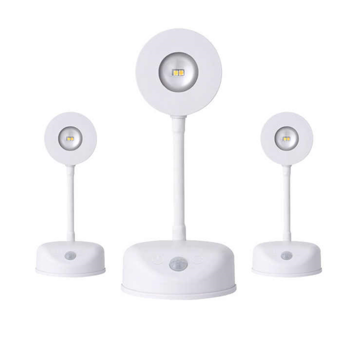 Motion Sensor/Remote Controlled Rechargable Wall Art Focus Light