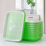 Automatic Wheatgrass Growing Tray | Self-Watering Hydroponic Sprout Planter for Home