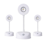 Motion Sensor/Remote Controlled Rechargable Wall Art Focus Light
