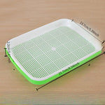 Automatic Wheatgrass Growing Tray | Self-Watering Hydroponic Sprout Planter for Home